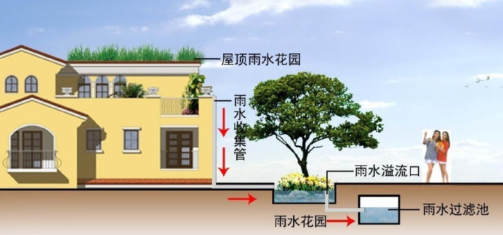雨水收集系統(tǒng)的幾種類型知道嗎？由哪些結(jié)構(gòu)組成？